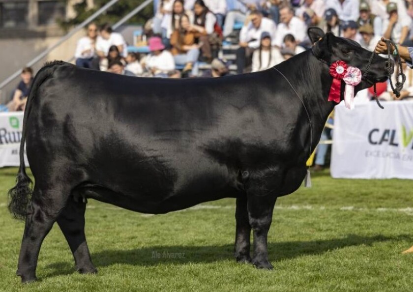 Foto Previa La Estiria.jpg