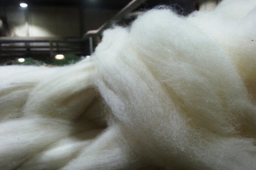 Foto: www.cienciaytecnologiauru.wordpress.com
