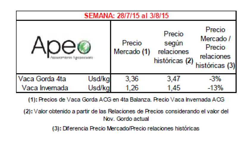 GRAFICO 5