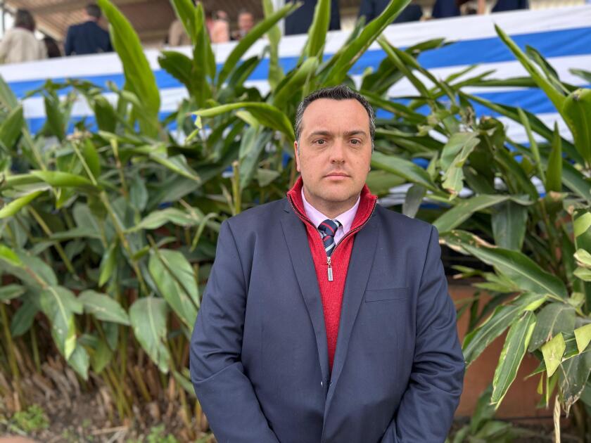 Fernández.jpg