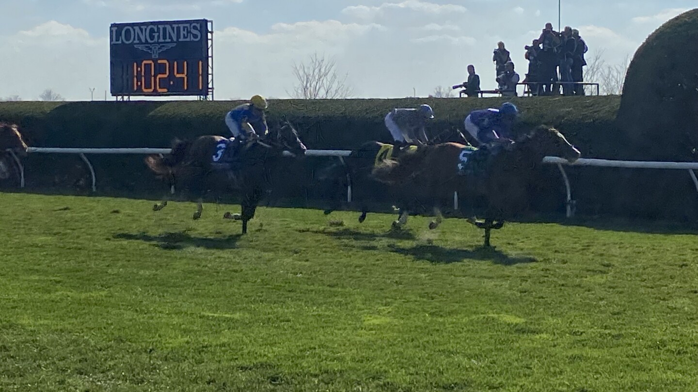 Breeders Cup 2023