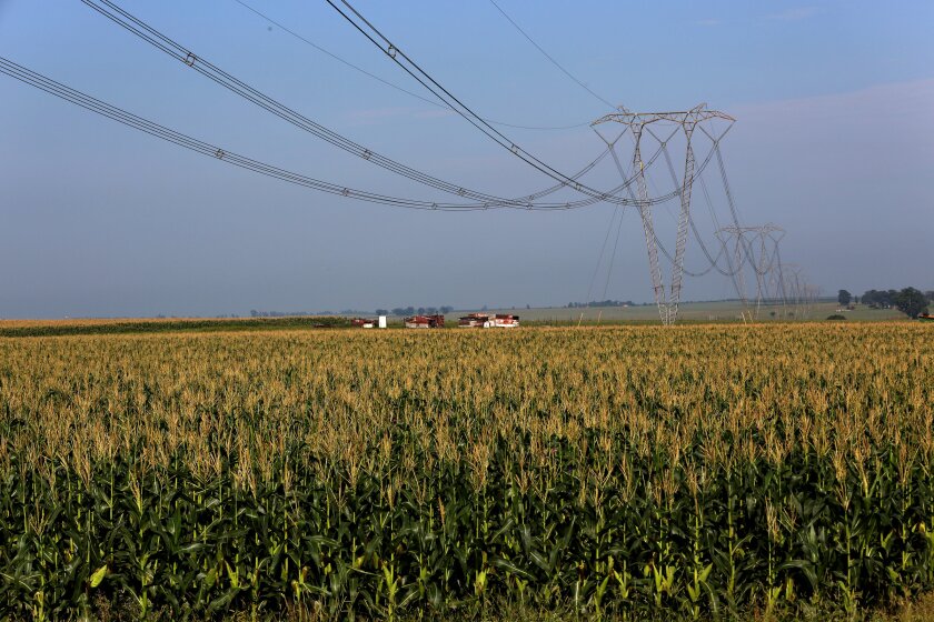 FILE PHOTO: A maize field is seen below electricity pylons in Mpumalanga province, north of Johannesburg