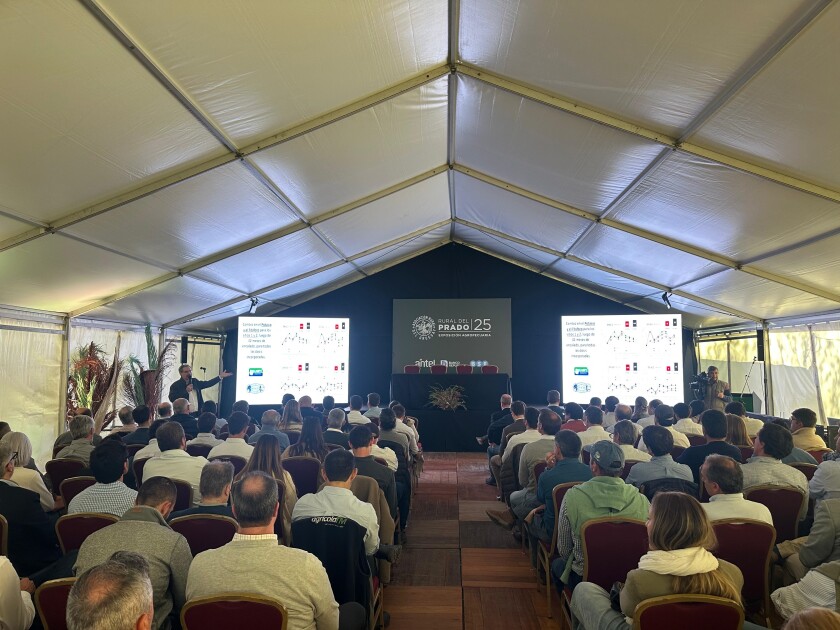 Presentación de los 4 años del proyecto de encalado en el Prado.
