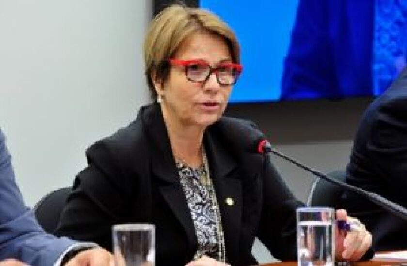 Tereza Cristina Correa da Costa. Foto: Cámara de Diputados / vía OGlobo