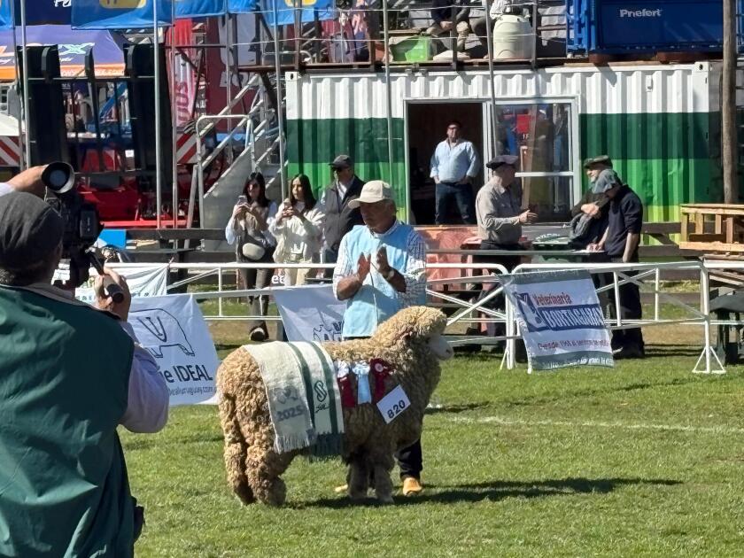 Gran Campeona PO de Horacio Yerpo.