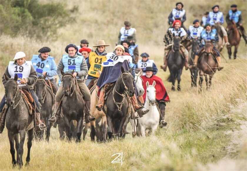 Foto nota 2 lunes.jpg