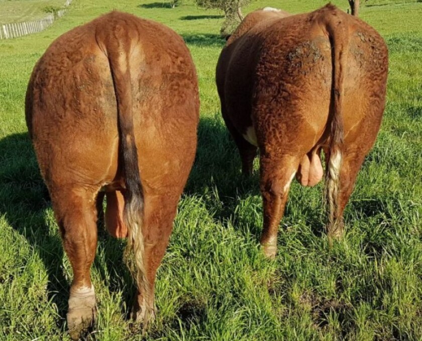 Previa Tupambaé.jpg