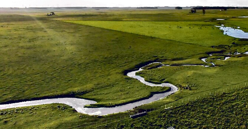 Ganadería. El mercado se afianzará si la situación de fortaleza continúa durante el año 2025..jpg