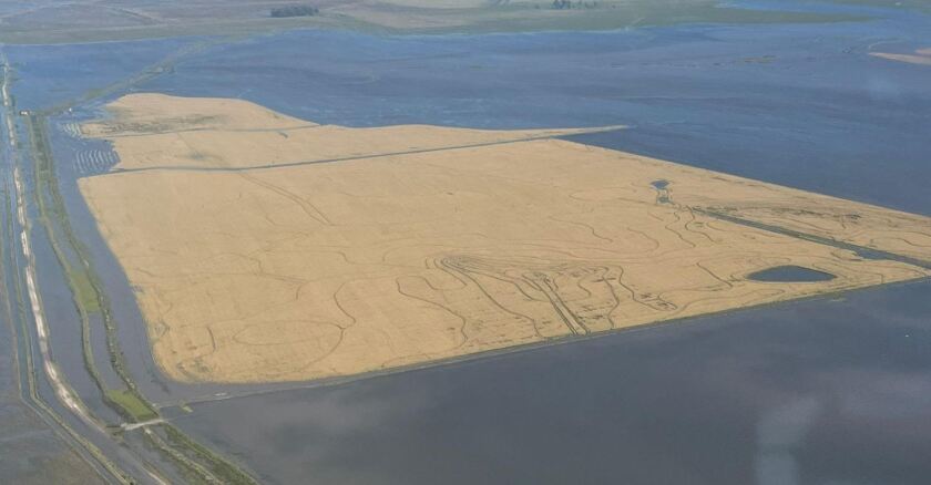 Chacra de arroz inundada