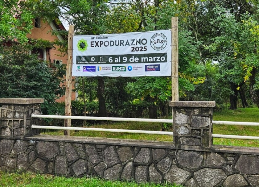 Foto previa.jpg