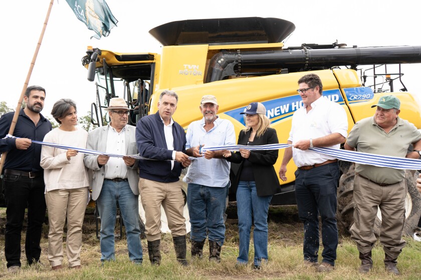 Inauguración cosecha de arroz 2025.