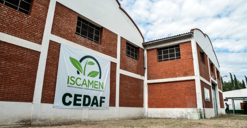 Planta de Iscamen