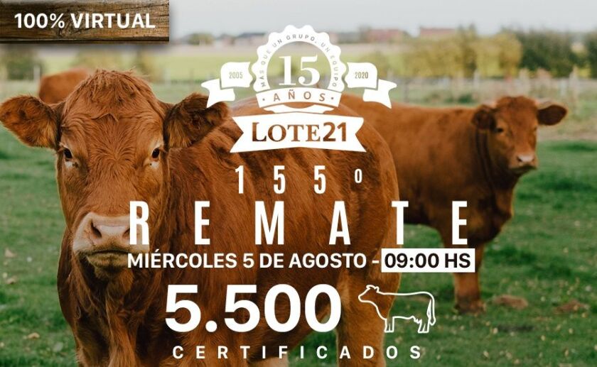 lote-21.jpg