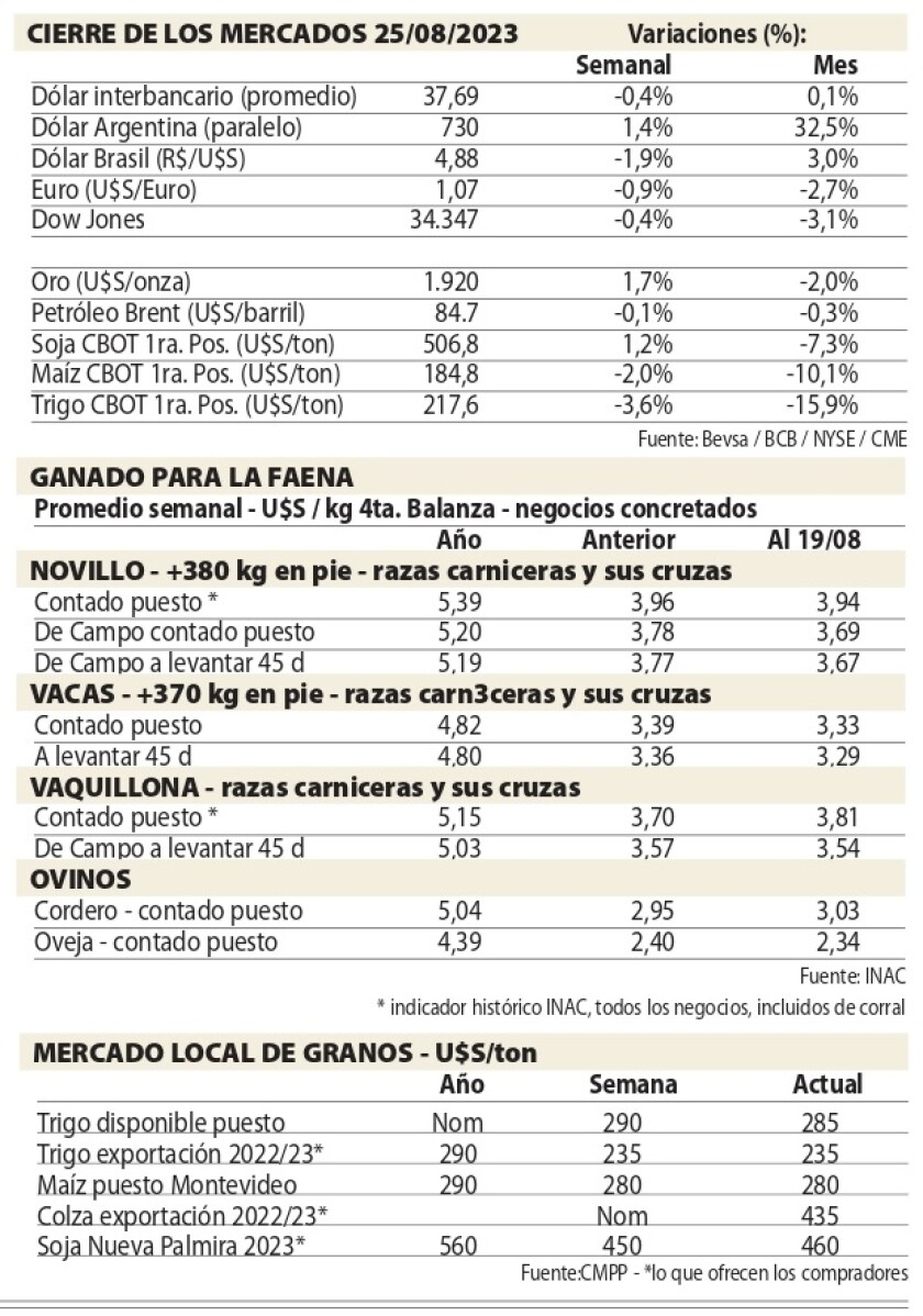 1 Cuadros NCL.jpg