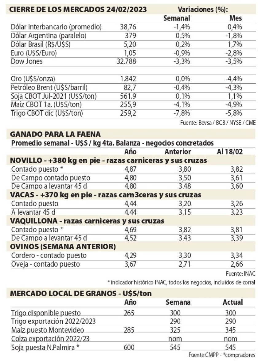 Cuadros NCL.jpg