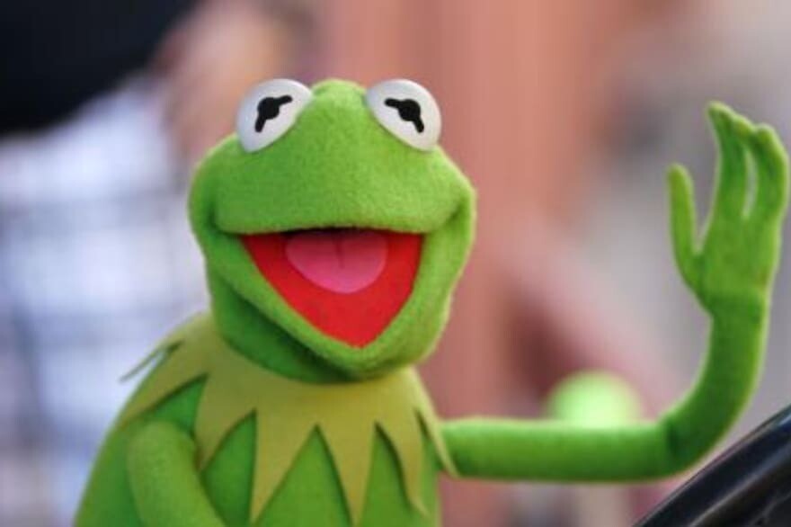 Así es el fósil del anfibio prehistórico que los arqueólogos ...