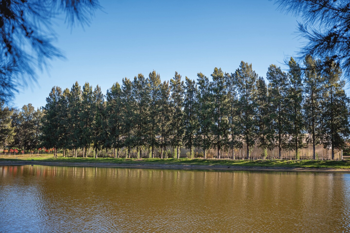 PRS_2303.jpg