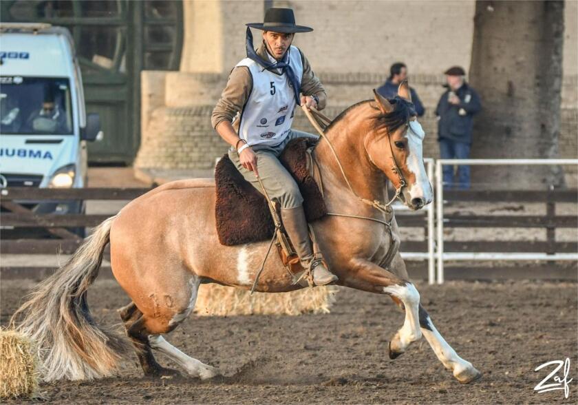 Filomena Perdiguera1).jpg