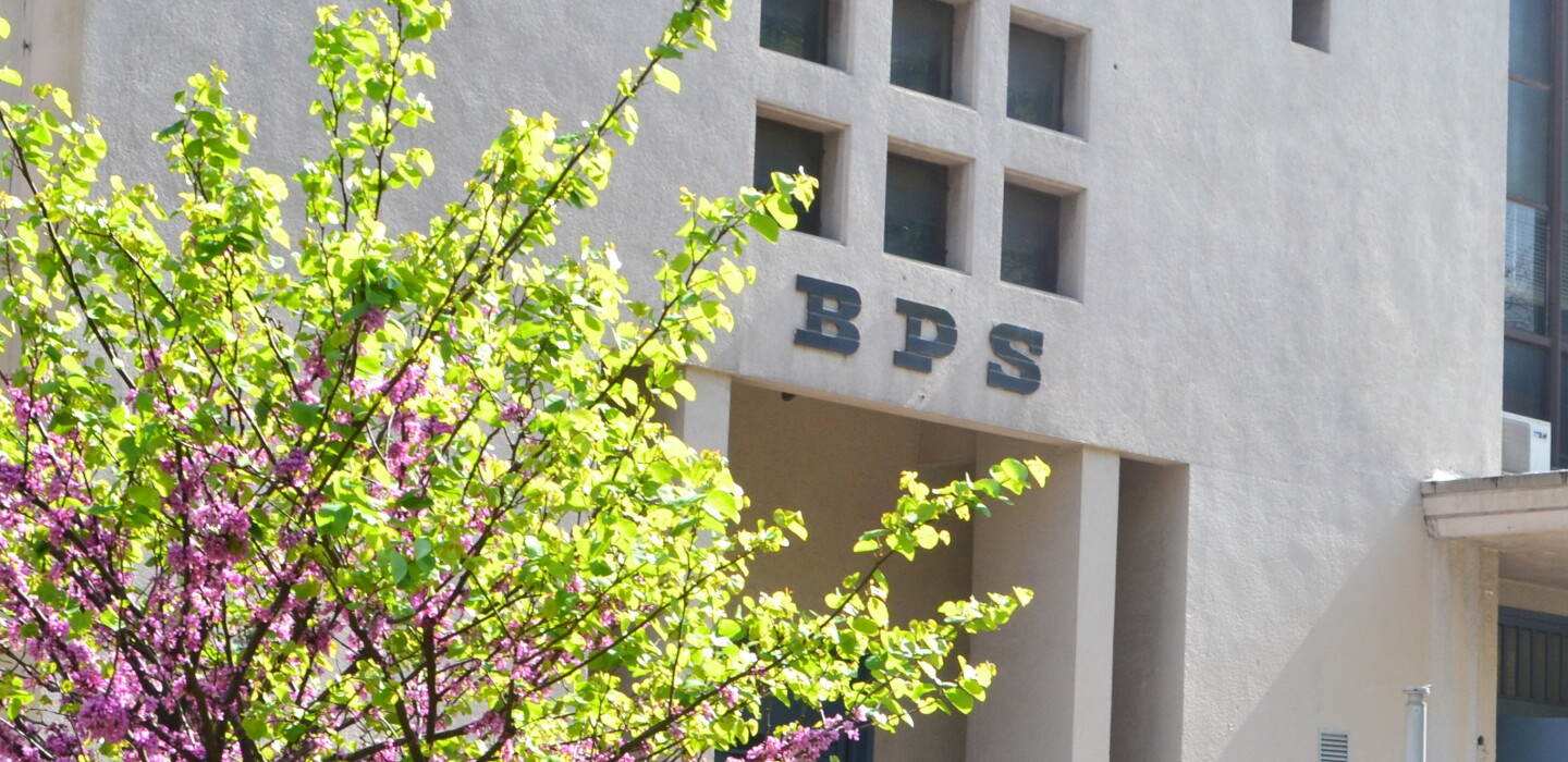 Bps BPS pagará asignación familiar a estos nuevos beneficiarios desde mayo ...