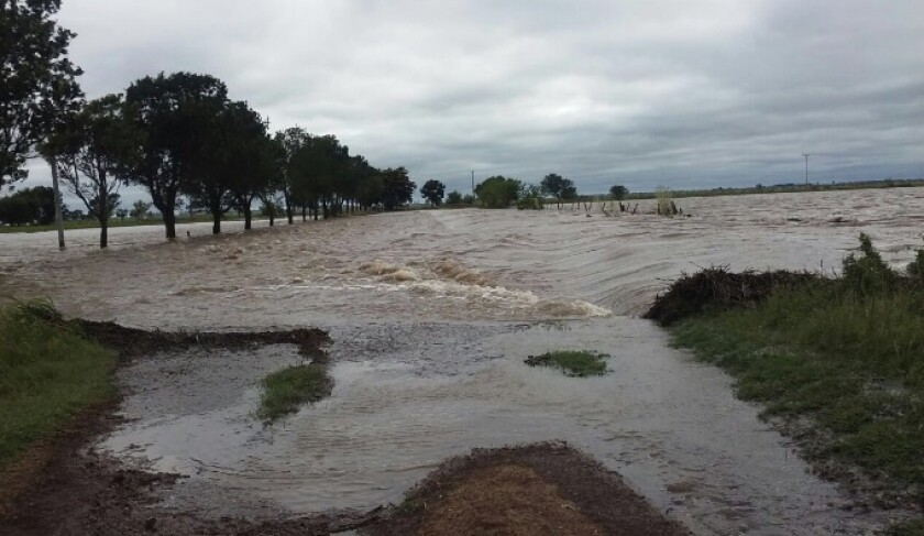 Santa Fe, Argentina. Foto: Sofia E. Corina @SofiCorina