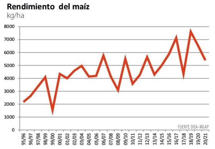rendimiento-del-maiz.jpg