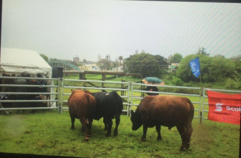 eb132e28-1c38-4ca2-a23a-21cd2718834e