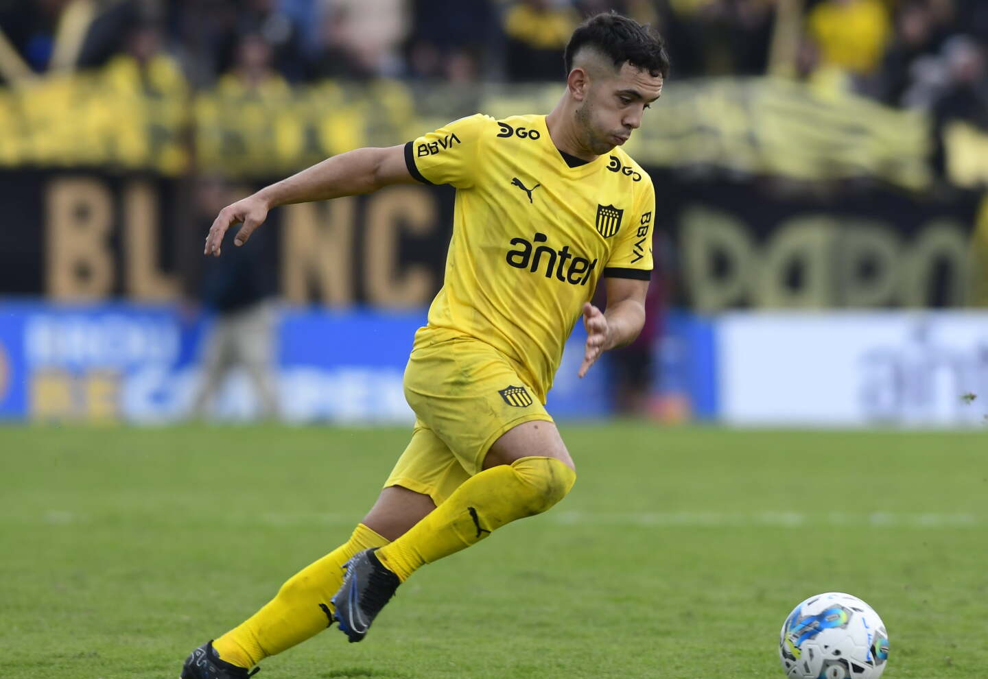 Leo Fernandez