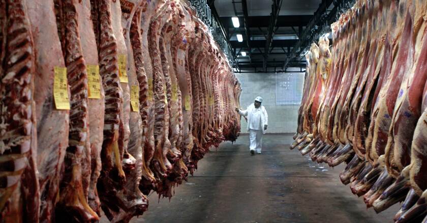 CARNE