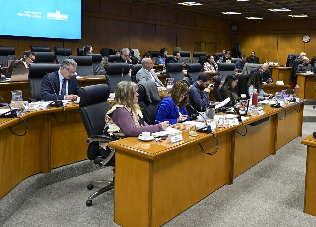 Parlamento. Esta semana irán más delegaciones a comisión.
