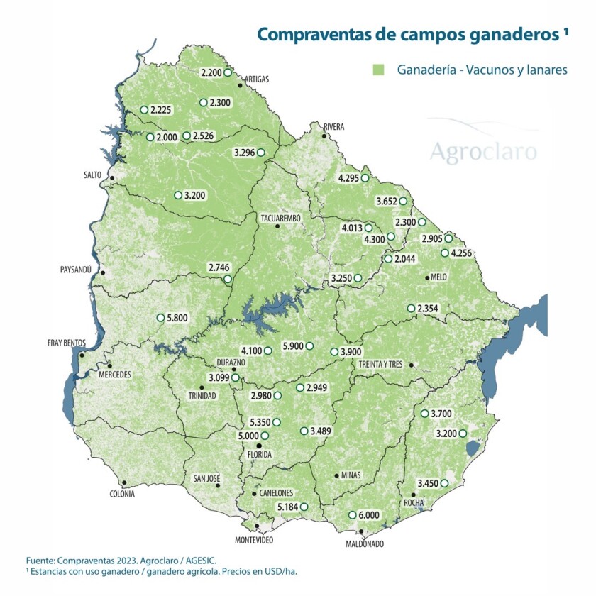 7d32fe8b-c7b7-44c5-91cf-3f24d6618258.jpeg