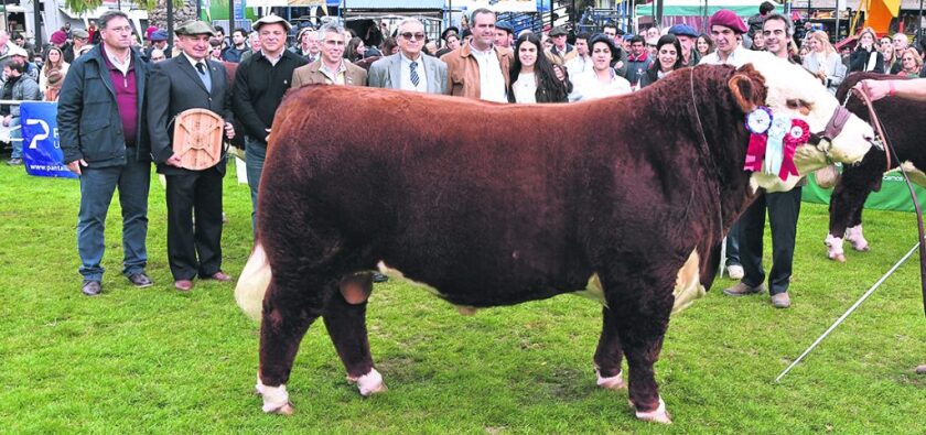 polled-1024x481.jpg