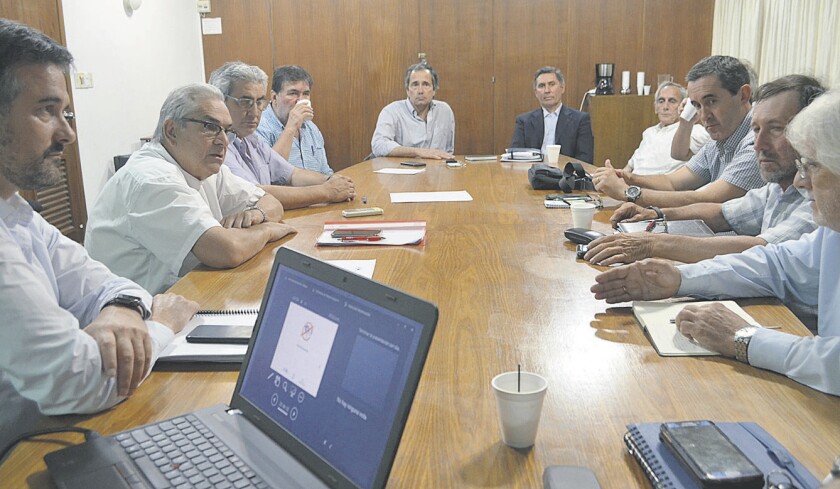 ovinos-2.jpg