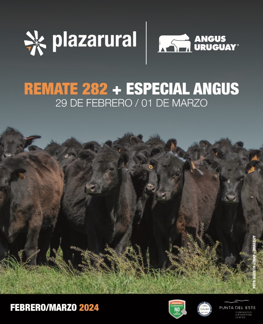 Previa Plaza febrero 24 .jpg