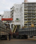 Exportación de ganado en pie