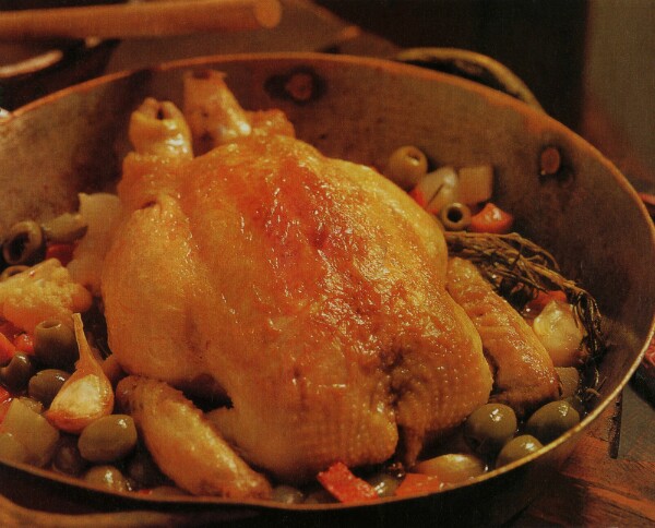 POLLO