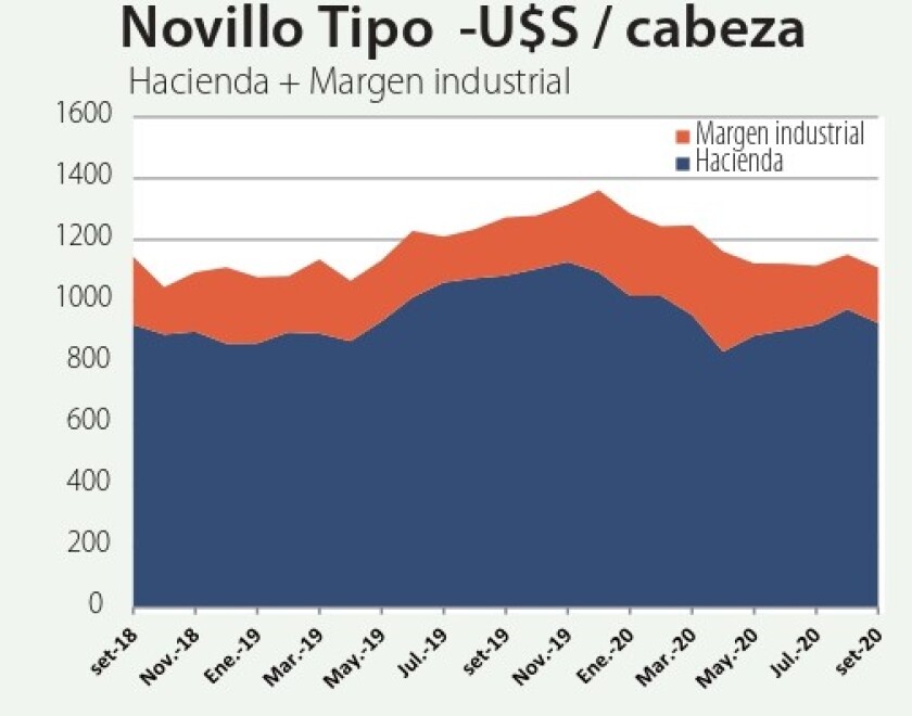 novillo.jpg
