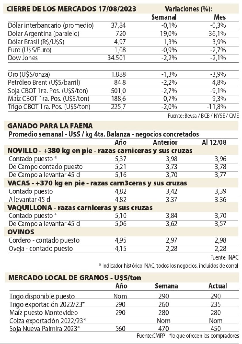 2 Cuadros NCL.jpg