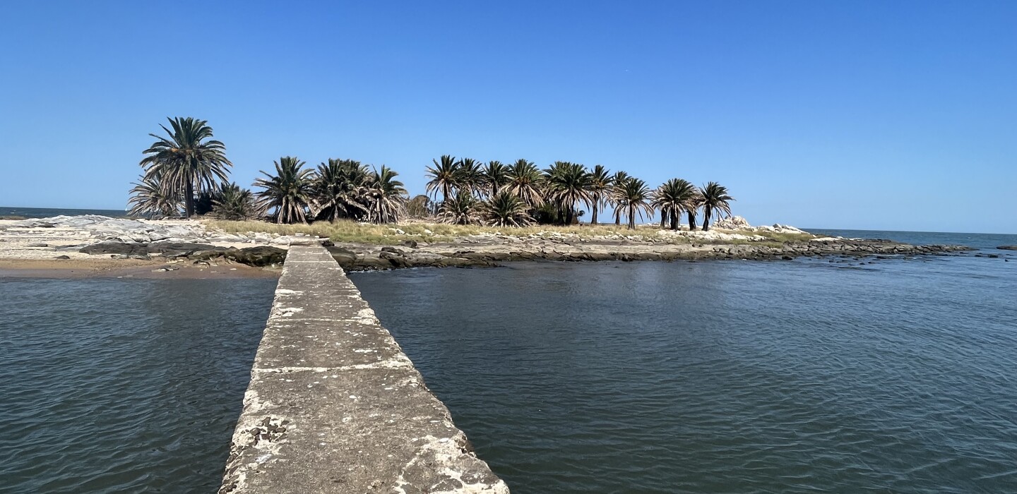 Una vecina desconocida la Isla de las Gaviotas esconde riqueza natural