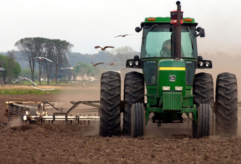 US SOYBEAN MARKET