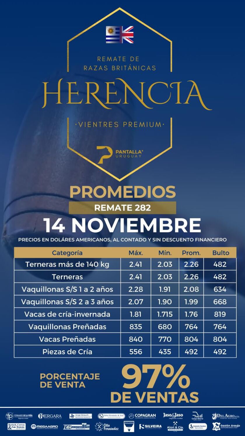 Imagen de WhatsApp 2024-11-14 a las 21.18.40_e69d1173.jpg