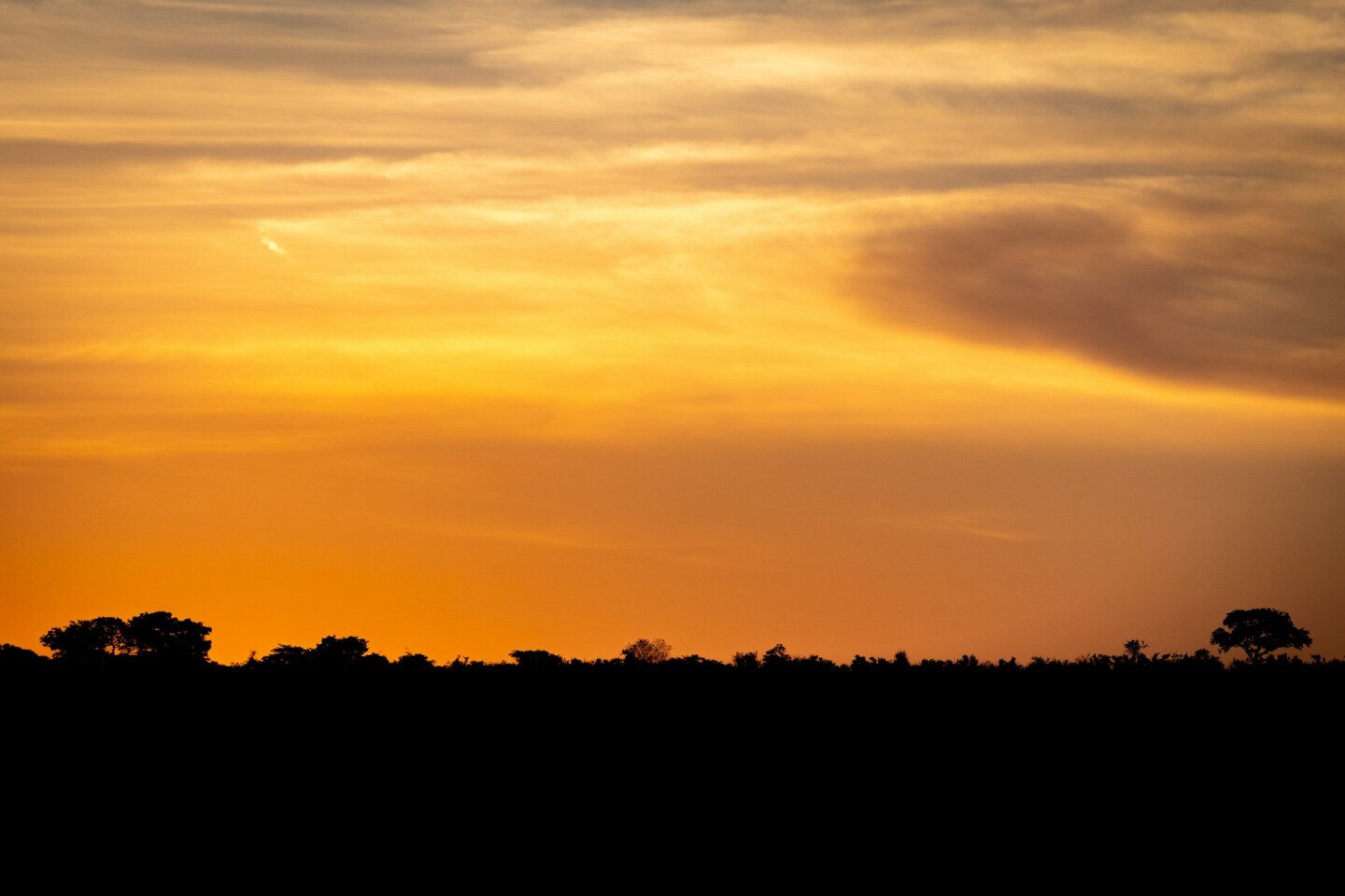 Atardecer en el parque Kruger, en Sudáfrica