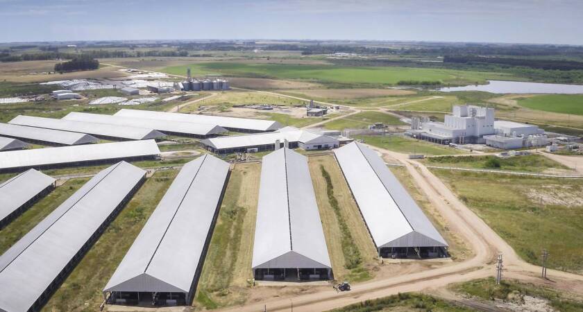 campo-tambo-drone.jpg