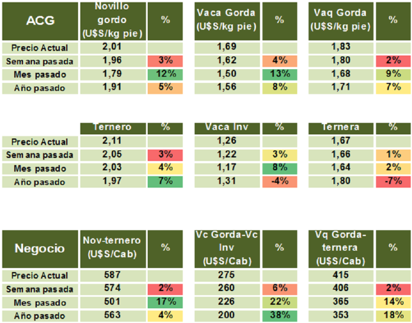 GRAFICO 7
