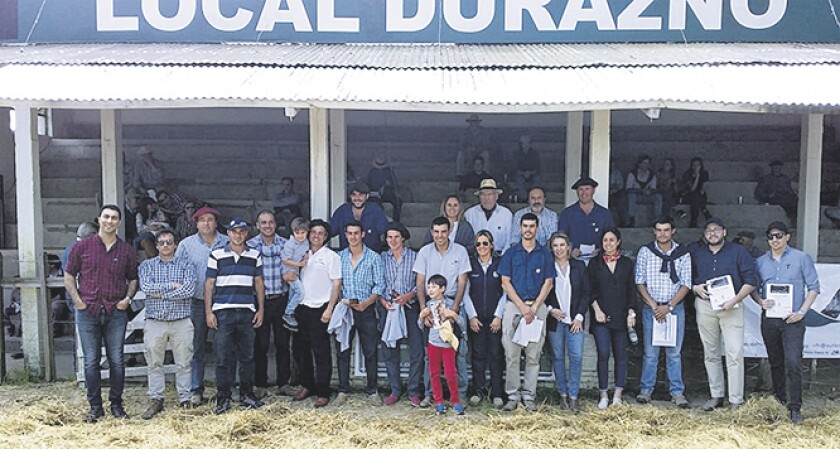 imagen-imagen-las-bichas.jpg