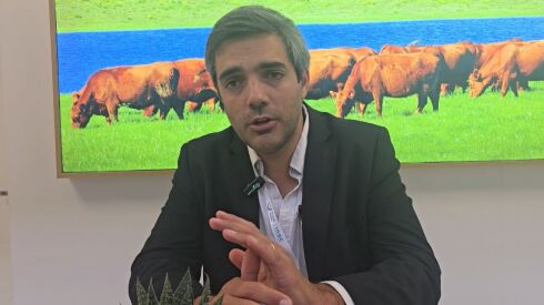 Matías Fuentes.jpeg
