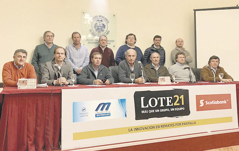 imagen-d224e425-2f85-4173-90a1-35a2d8a25241.jpg