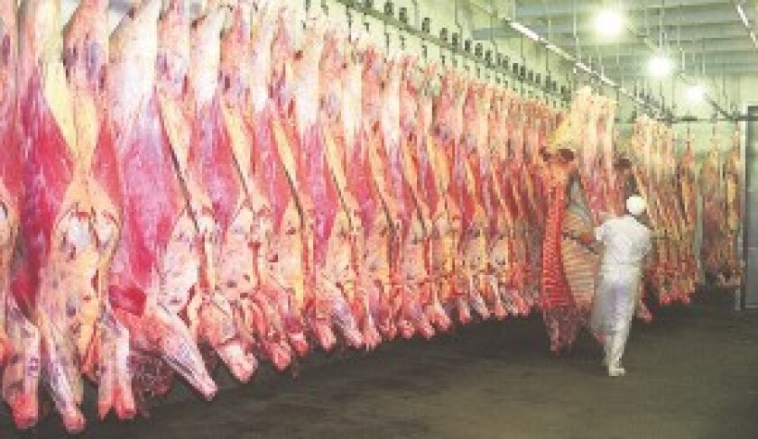 Reses, Frigorifico Tacuarembo, 20031026 Foto Colmegna 86701, Archivo El País