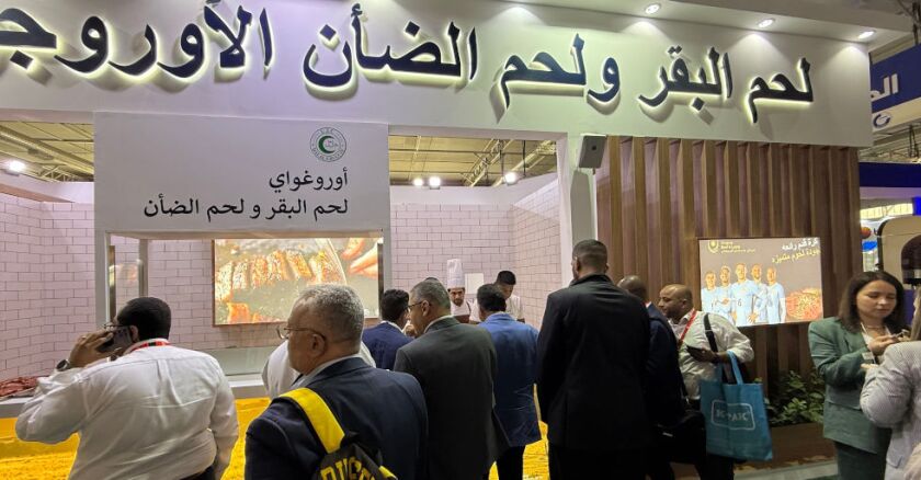 INAC en Arabia Saudita