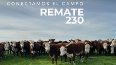 Previa Lote 21.jpg