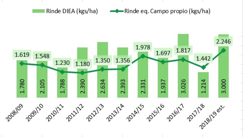 grafico-1.jpg